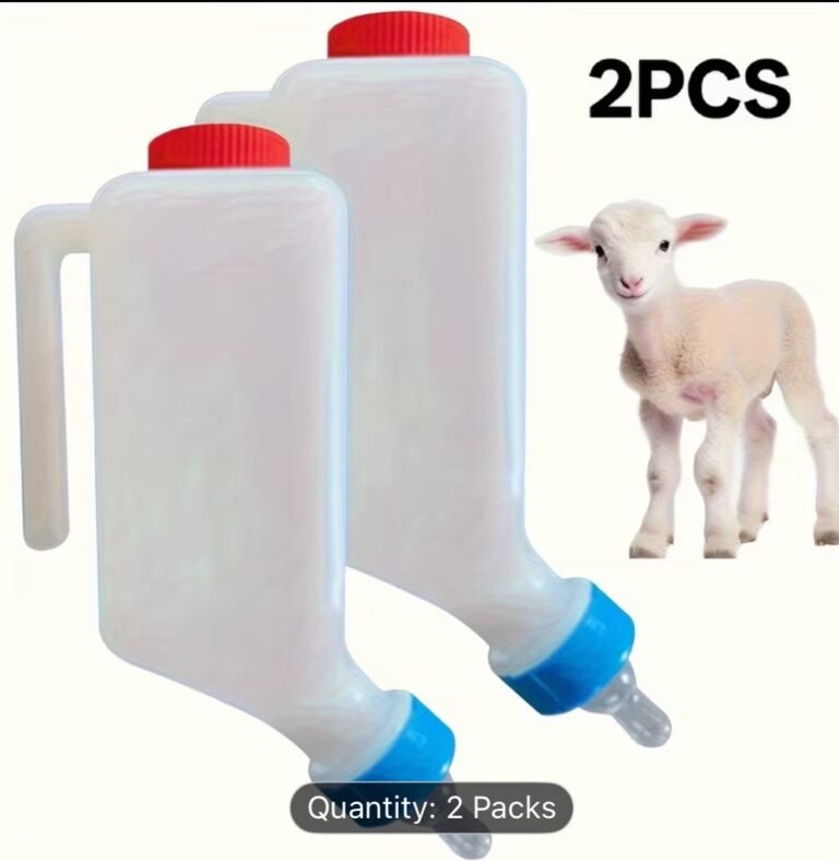 WhatsApp Image 2025-12-11 at 19.32