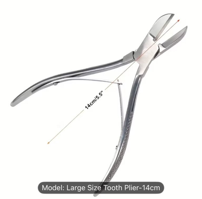 WhatsApp Image 2025-12-11 at 19.32