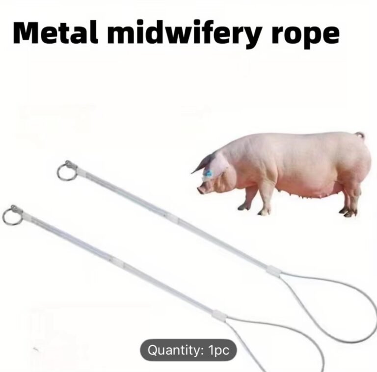 WhatsApp Image 2025-12-11 at 19.32