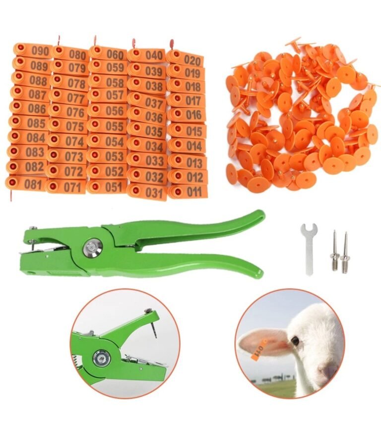 WhatsApp Image 2025-12-11 at 19.32