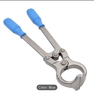 WhatsApp Image 2025-12-11 at 19.32