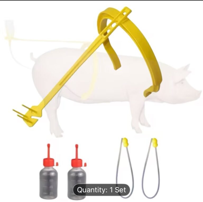 WhatsApp Image 2025-12-11 at 19.32